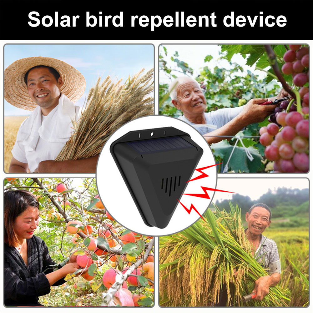 ソーラー式鳥よけ器、13種類の鳥の鳴き声アラーム付き、ソーラ - Solar Panel Monocrystalline のレビューと価格